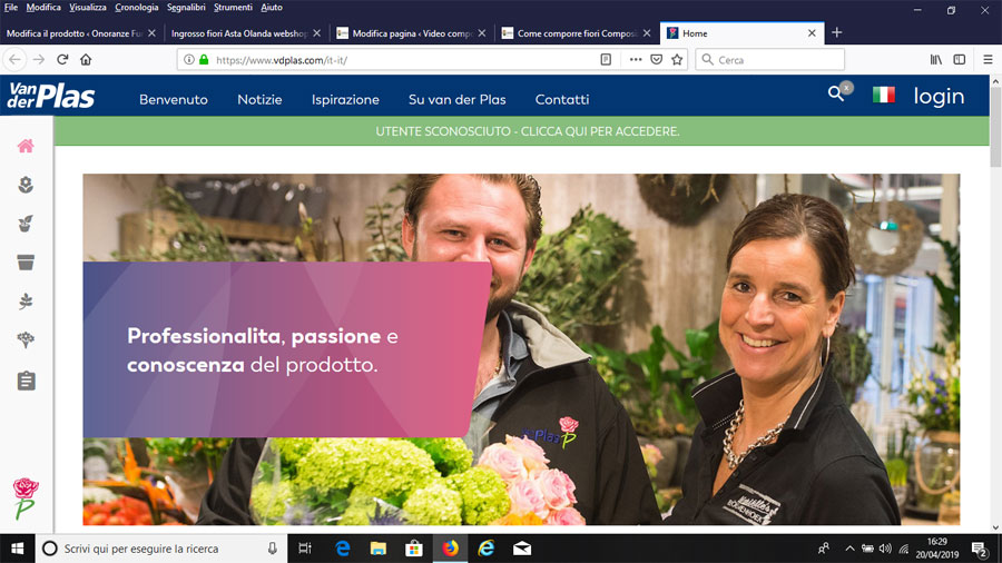 Ingrosso fiori Asta Olanda webshop Van der Plas